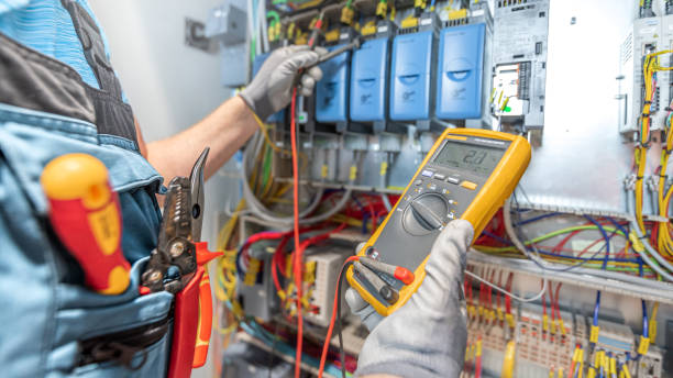 Best Home Electrical Repair  in Homeland Park, SC